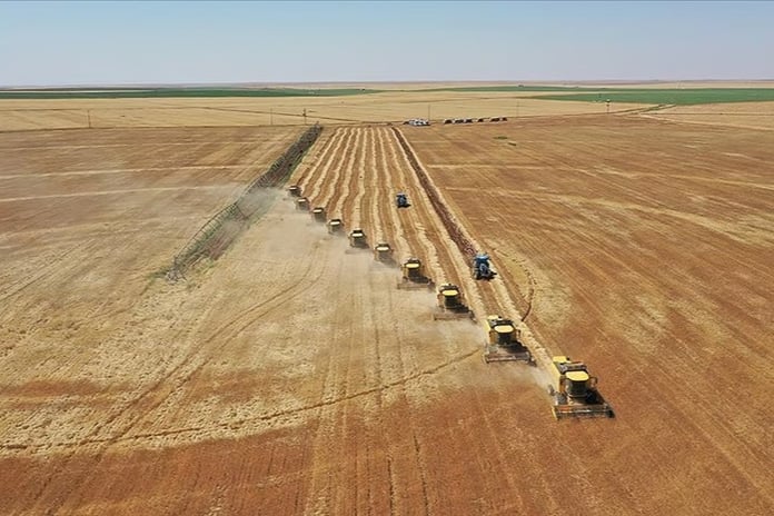 Türkiye tarımsal hasılatta rekor kırdı: Dünyada ilk 7 ülke arasına girdi