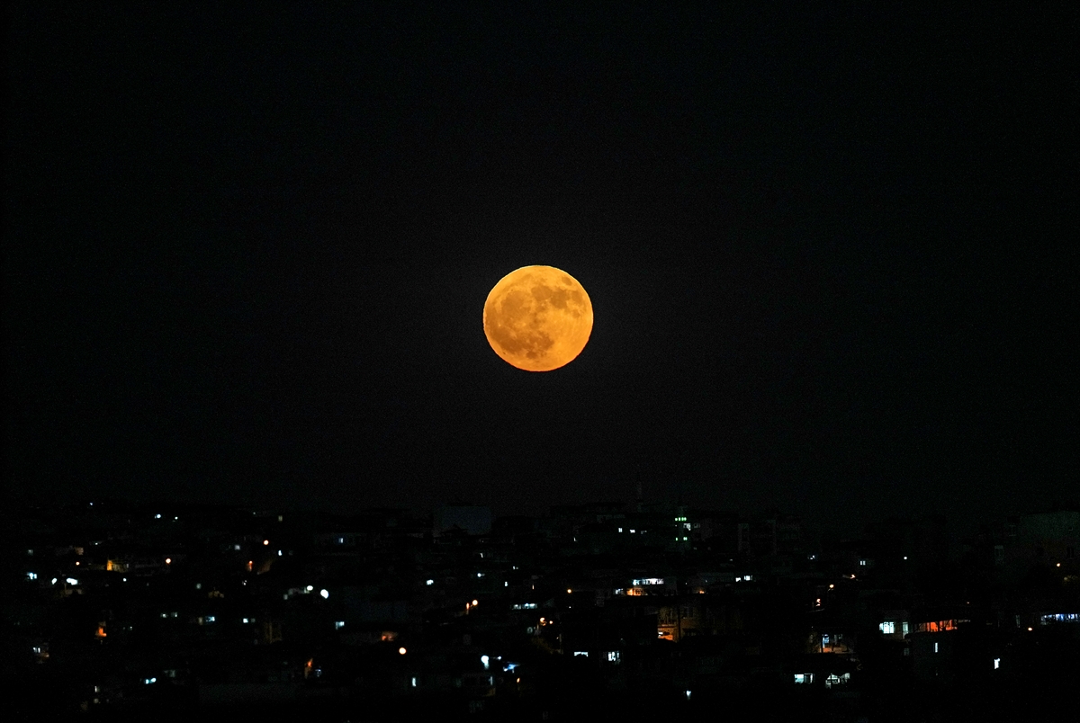 Galeri Fotoğrafı