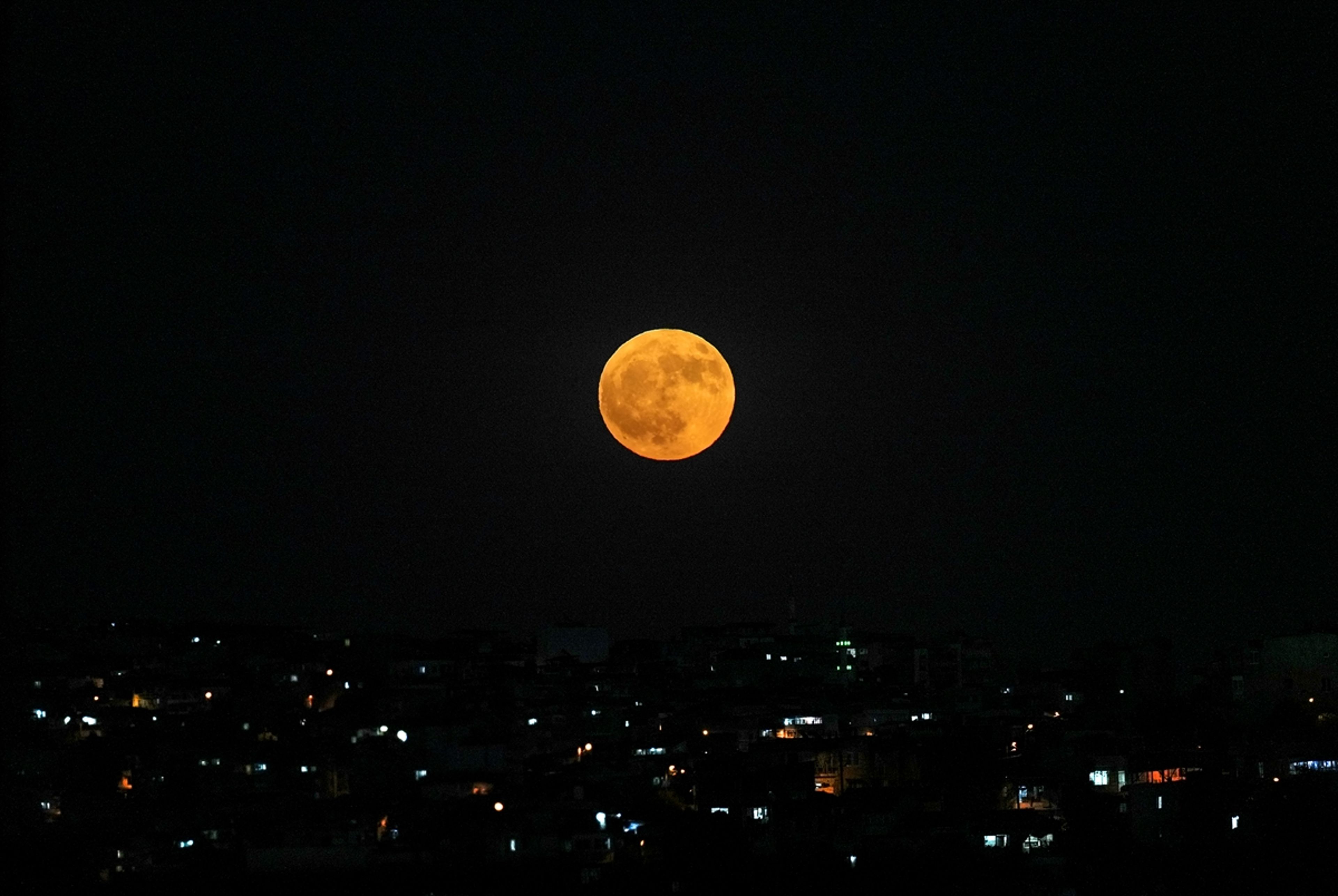 Galeri Fotoğrafı