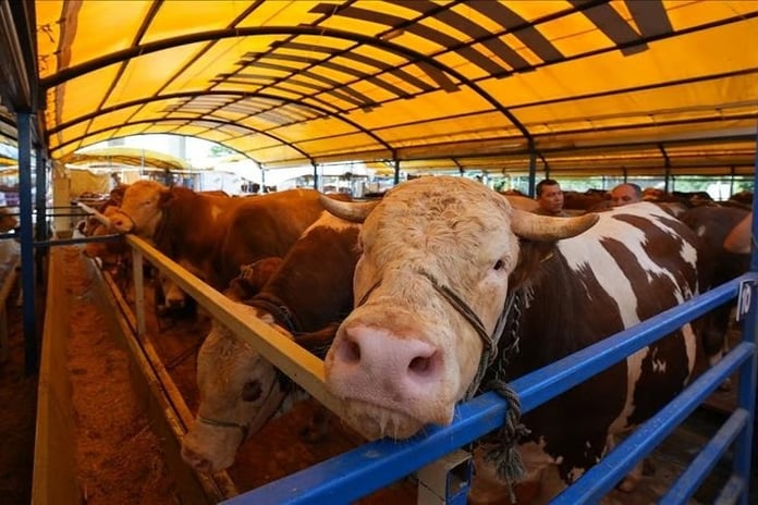 Kırgızistan'da et ihracatına 6 ay süreyle yasak geldi