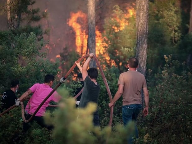 Vatandaşlar "Yeşil Vatan için biz de hazırız" mesajıyla CİMER'e başvurdu