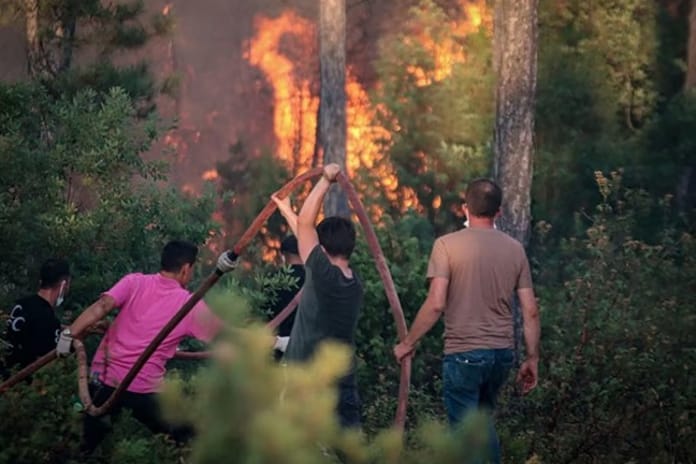 Vatandaşlar "Yeşil Vatan için biz de hazırız" mesajıyla CİMER'e başvurdu