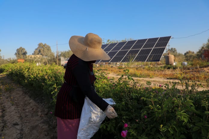 Kadın emeğinin yerel ekonomideki rolü