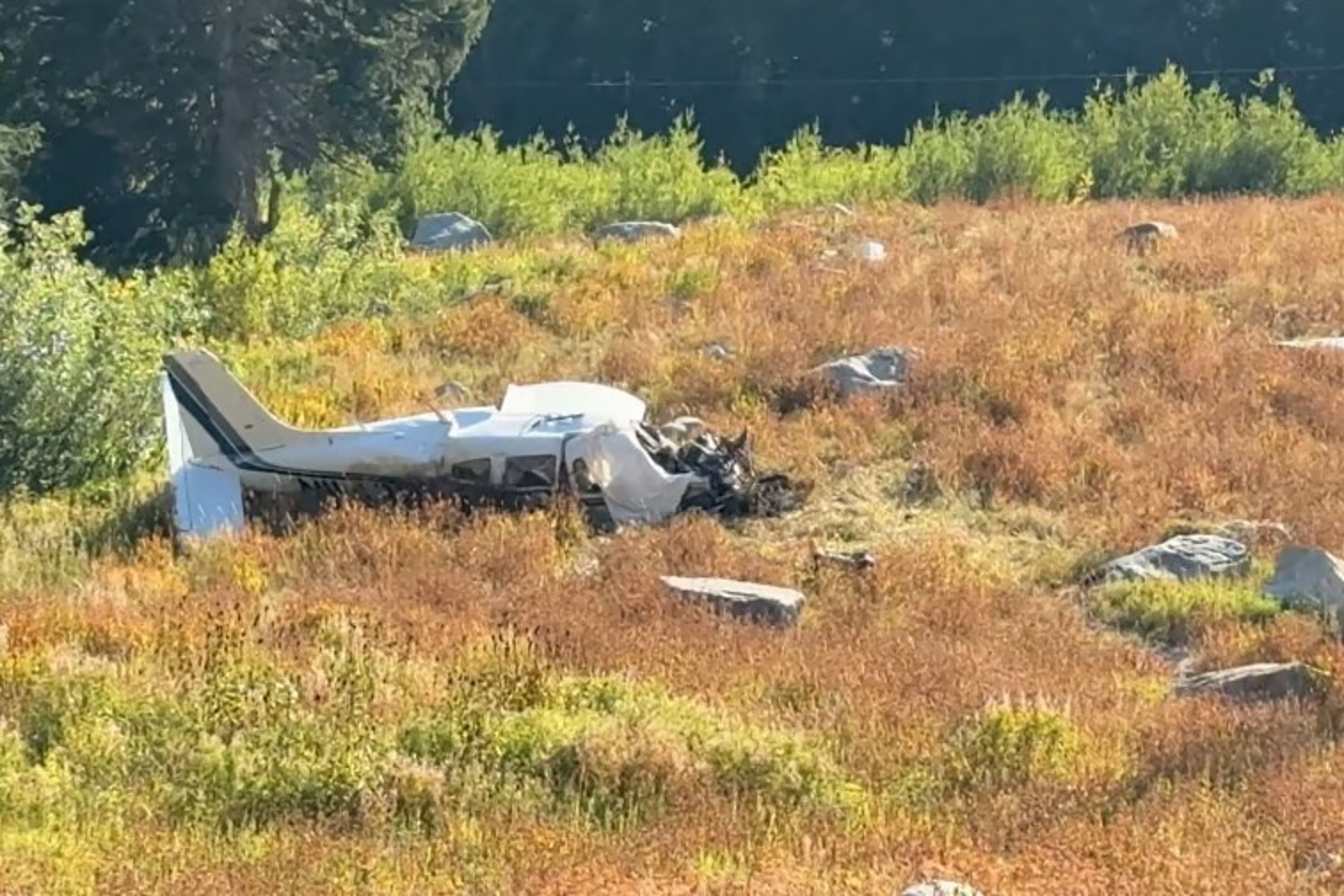 Colorado’da iki küçük uçak çarpıştı: 1 ölü