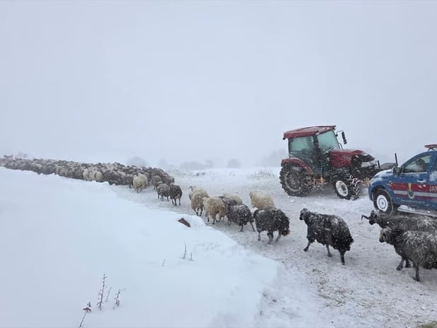 Artvin'de çığ felaketi: Kayıp çobanı arama çalışmalarına hava engeli