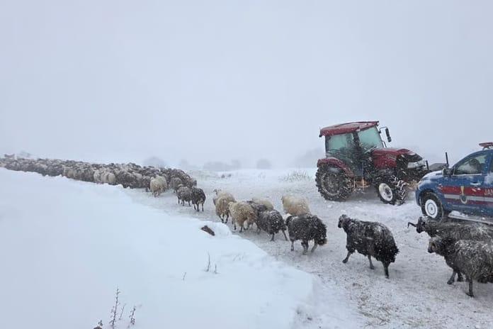 Artvin'de çığ felaketi: Kayıp çobanı arama çalışmalarına hava engeli