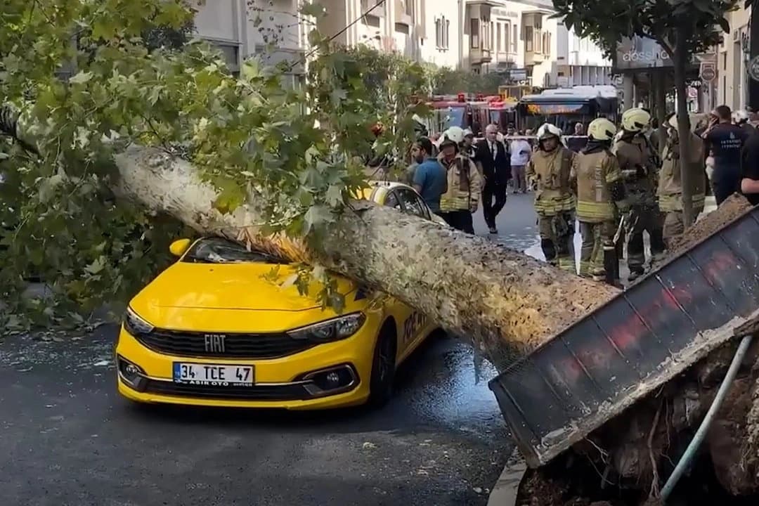 Taksinin üzerine ağaç devrildi