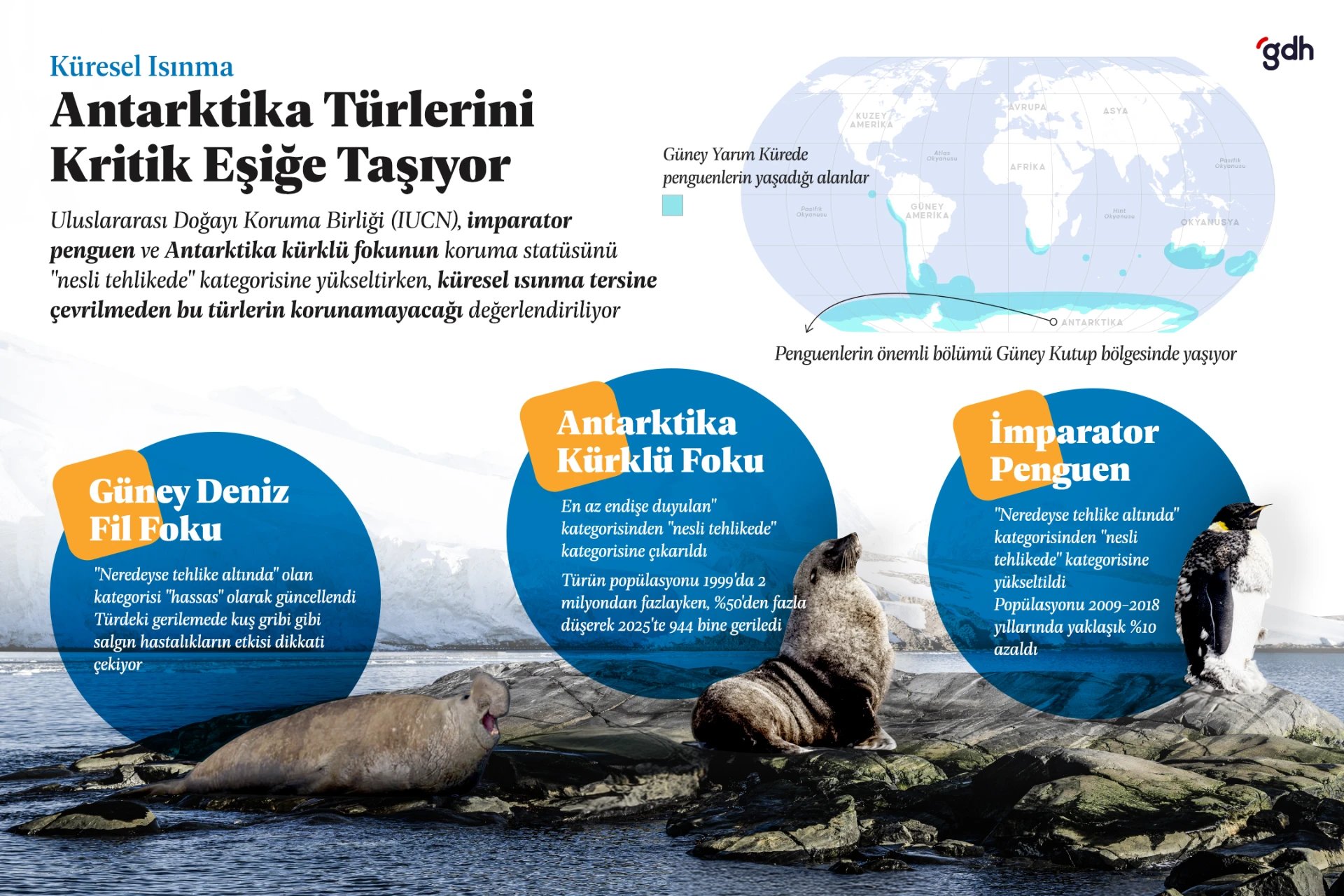 Antartika'da nesil tehlikesi artıyor.