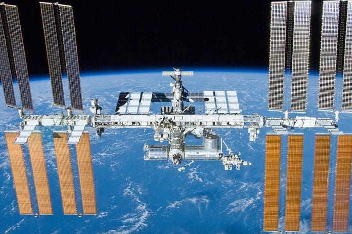 Uzaydaki fare hücreleri sağlıklı fare nesli üretti