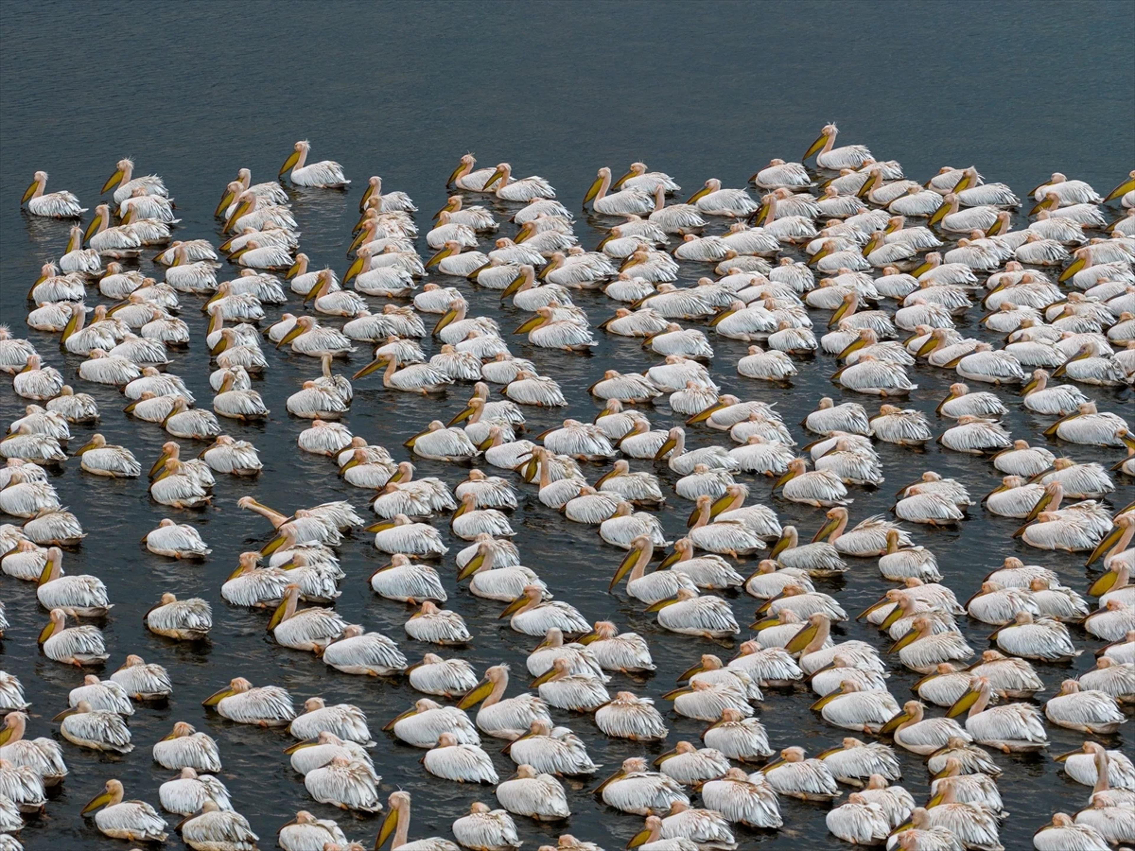 Galeri Fotoğrafı