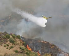 Cezayir'in orman yangınlarıyla mücadelesi devam ediyor