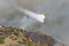 Cezayir'in orman yangınlarıyla mücadelesi devam ediyor