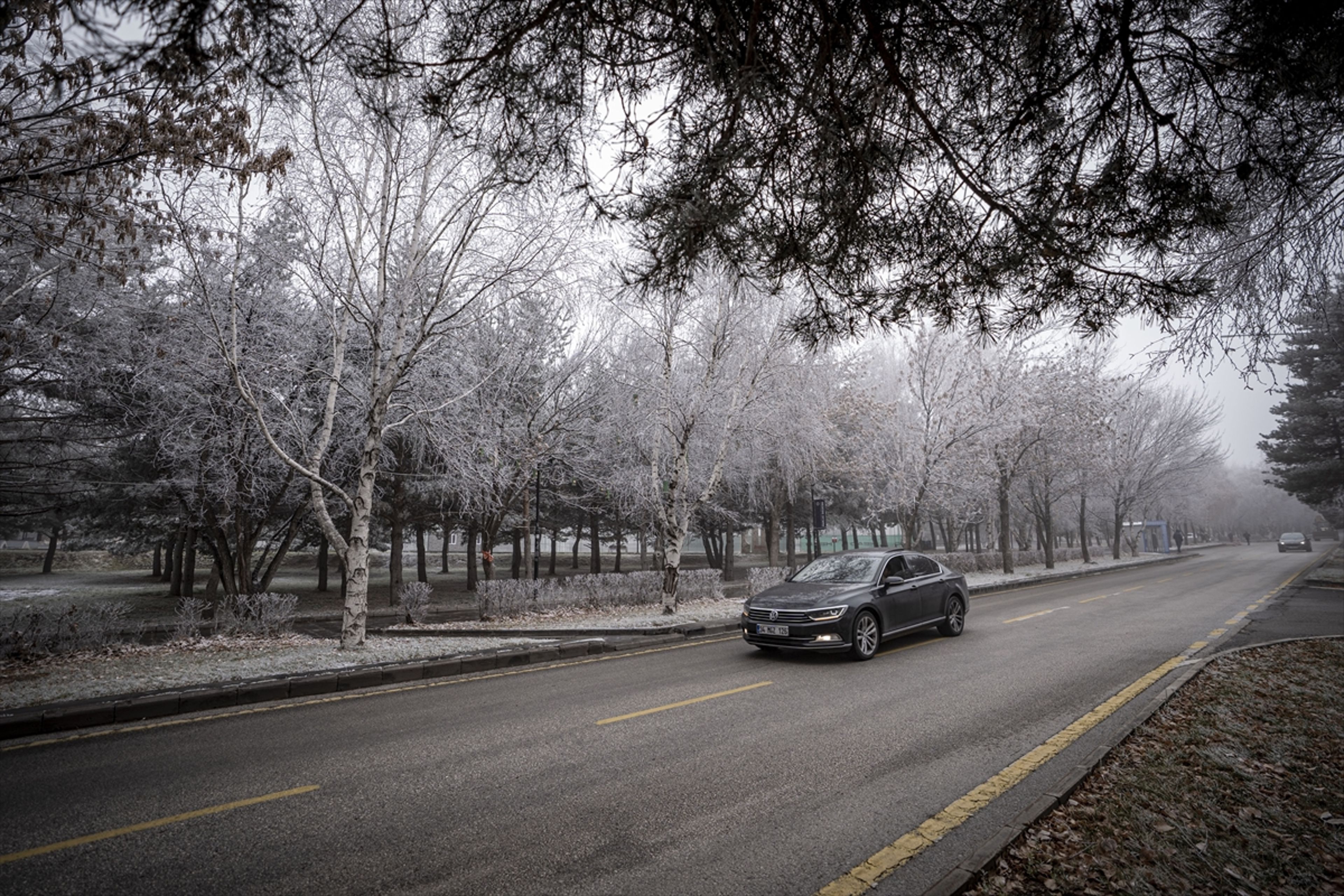 Galeri Fotoğrafı
