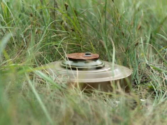 Finlandiya personel mayını alımına başlıyor, askerî eğitim süreci başlatılacak