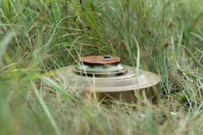 Finlandiya personel mayını alımına başlıyor, askerî eğitim süreci başlatılacak