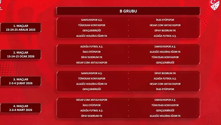 ZTK -  B Grubu Fikstürü