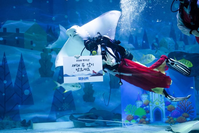 Uluslararası turistlerin odak noktası