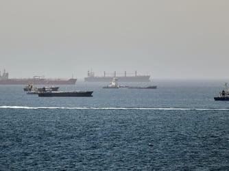Oman Says Ships May Have to Pay for Strait of Hormuz Transit