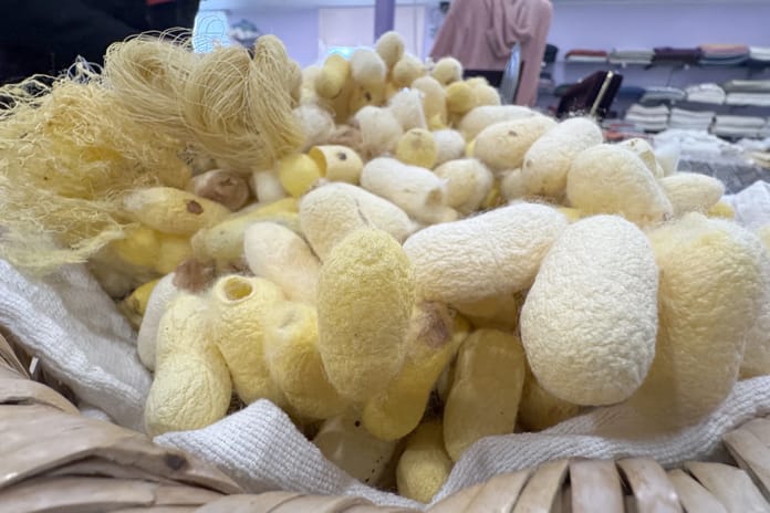 Bereketli bir yılın ardından gelen müjde