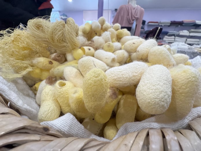 Bereketli bir yılın ardından gelen müjde