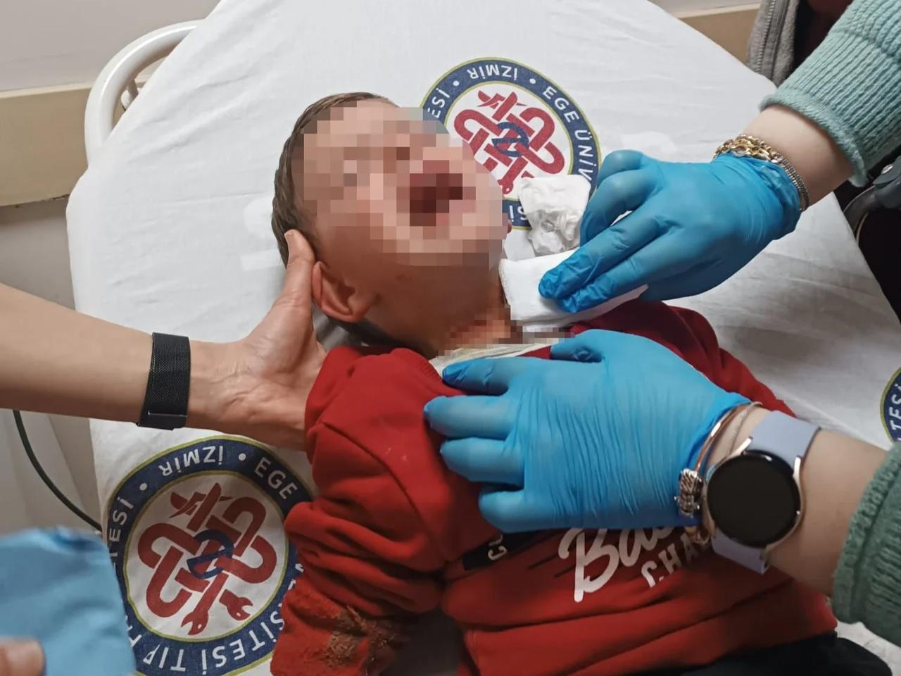 Üç yaşındaki çocuğa bıçakla saldırdı