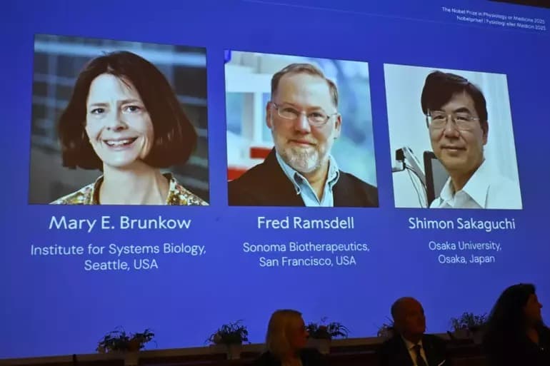 Bağışıklık sistemi keşfi Nobel’le taçlandı