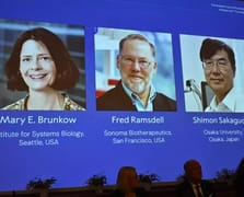 2025 Nobel Tıp Ödülü sahiplerini buldu