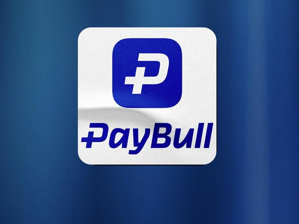 Paybull ve yasa dışı bahis ağına operasyon