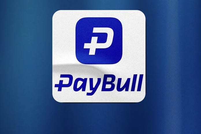 Paybull’a operasyon: 25 şüpheli gözaltında! 