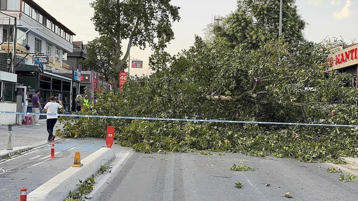 İstanbul'da etkili olan kuvvetli fırtına hayatı olumsuz etkiledi