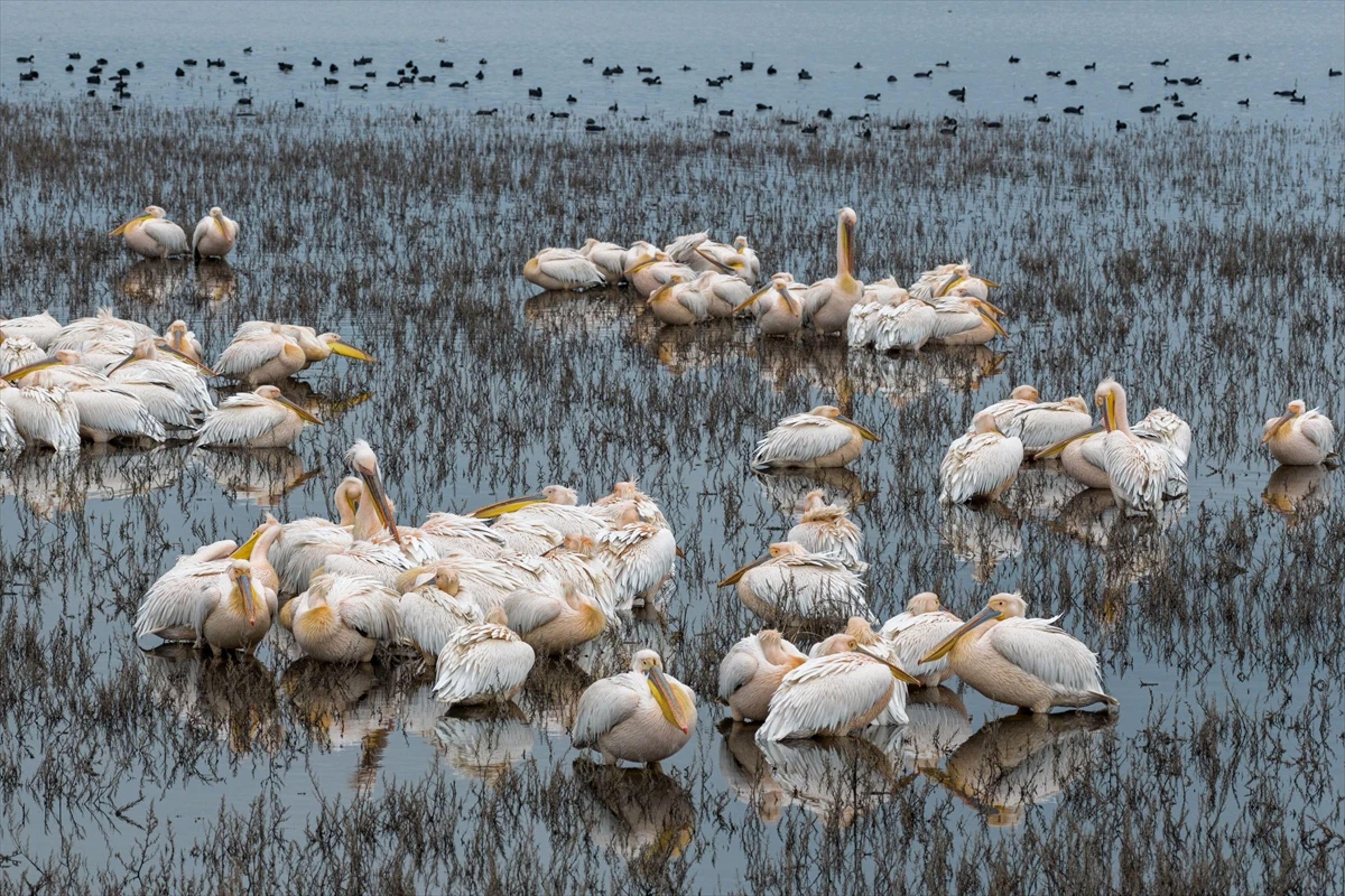 Galeri Fotoğrafı