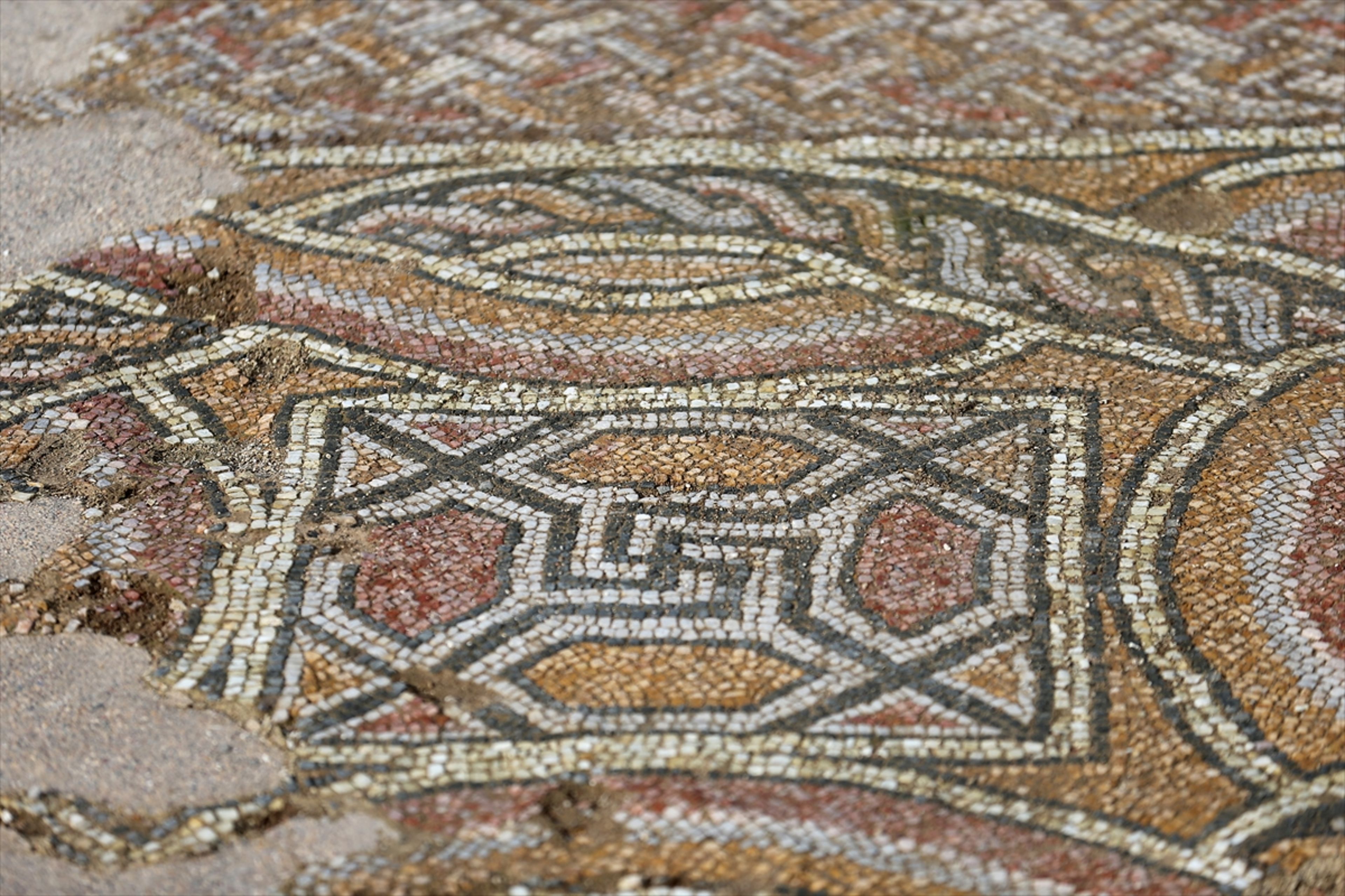 Galeri Fotoğrafı