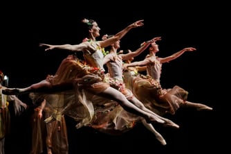 Opera, TİKA ve YTB'yi solladı