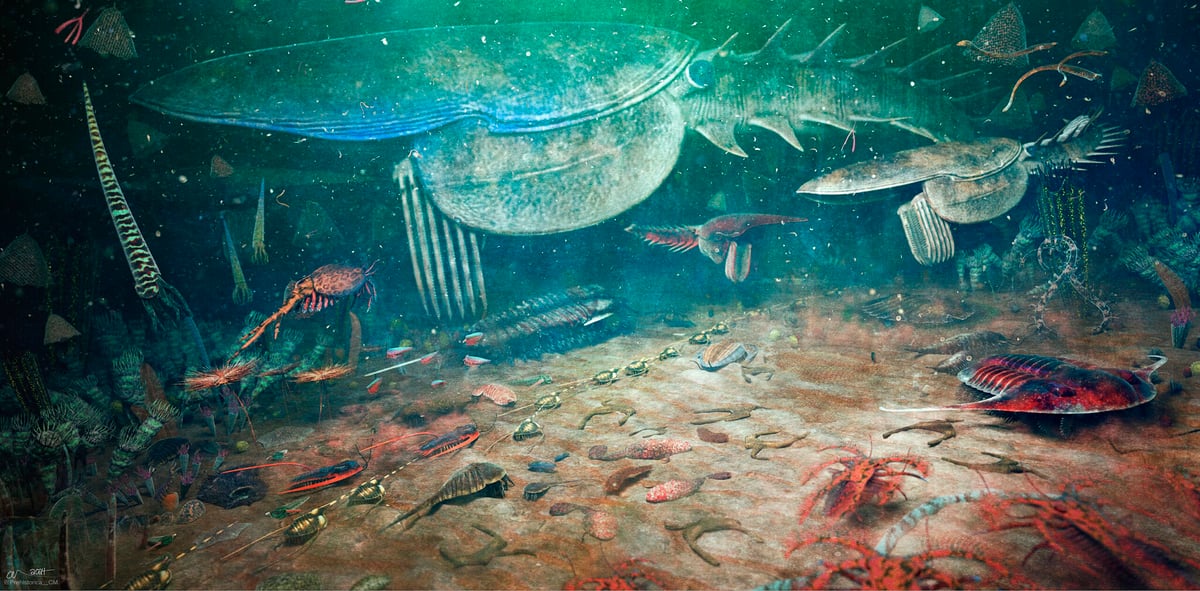 Büyük Ordovisyen Biyoçeşitlilik Olayı, araştırmacıların Dünya'nın bir halkası olduğuna inandıkları zamanlarda meydana geldi. Yeni iklime uyum sağlayarak veya daha elverişli ortamlara geçerek birçok yeni yaşam formu gelişti.