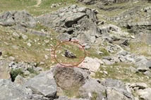 Batman'da keşiften dönen bilirkişi ekibinin aracı şarampole yuvarlandı: 5 kişi hayatını kaybetti