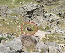 Batman'da keşiften dönen bilirkişi ekibinin aracı şarampole yuvarlandı: 5 kişi hayatını kaybetti