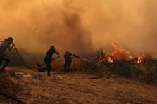 Yunanistan'ın orman yangınlarıyla mücadelesi sürüyor