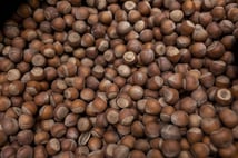 Türkiye fındık ihracatında 5 ayda 1 milyar doları aştı