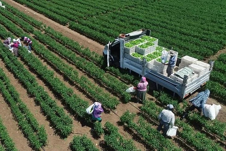 Tarımda rekor geliyor