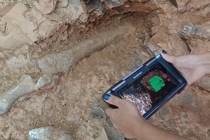 Denizli'deki kazılarda 9 milyon yıllık fosiller bulundu: 27 tür tespit edildi