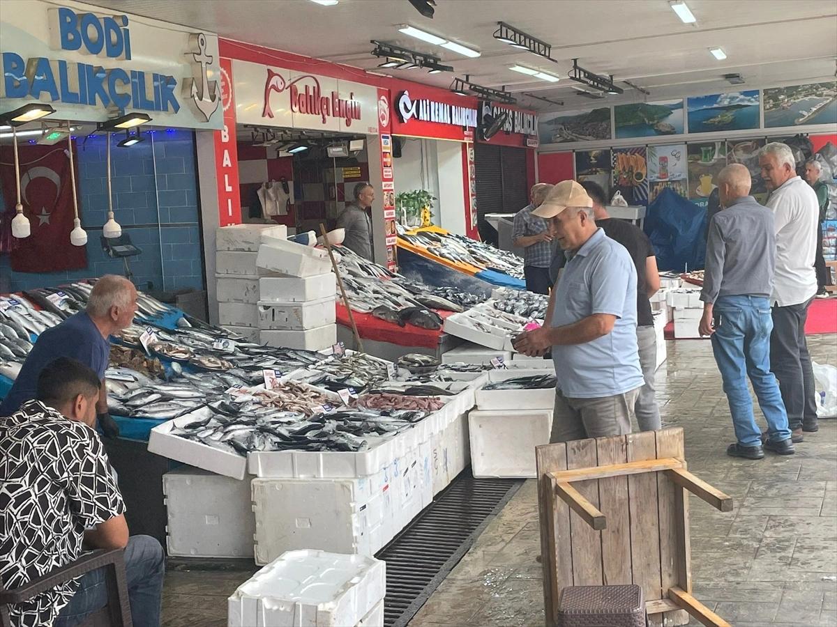 Ordu'da ucuz palamut ilgi çekiyor