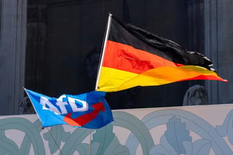 Over 1,000 German Legal Experts Urge Court to Ban AfD
