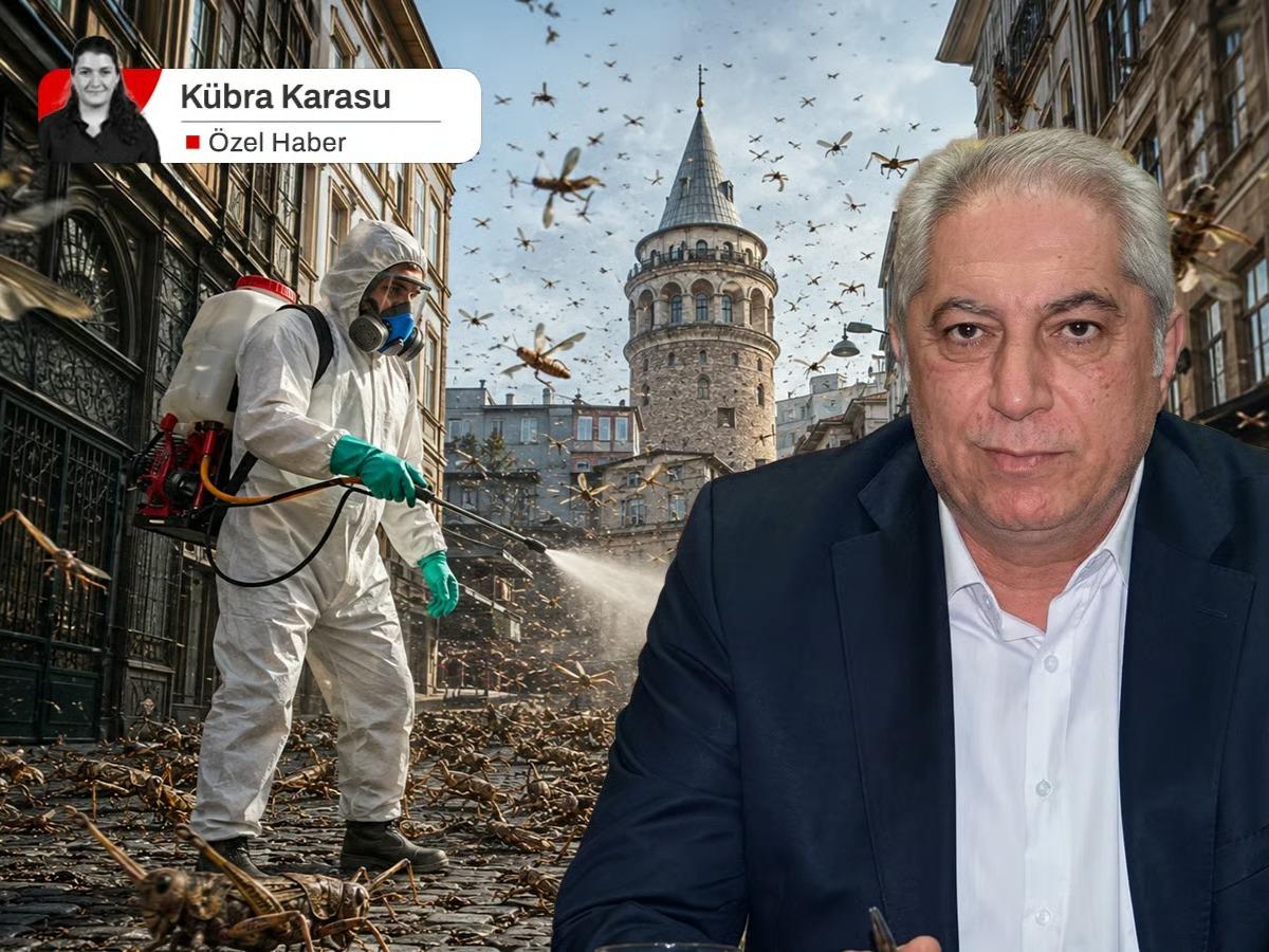 Türkiye'yi saran dev çekirgelerde 'ilaçlama' tehlikesi