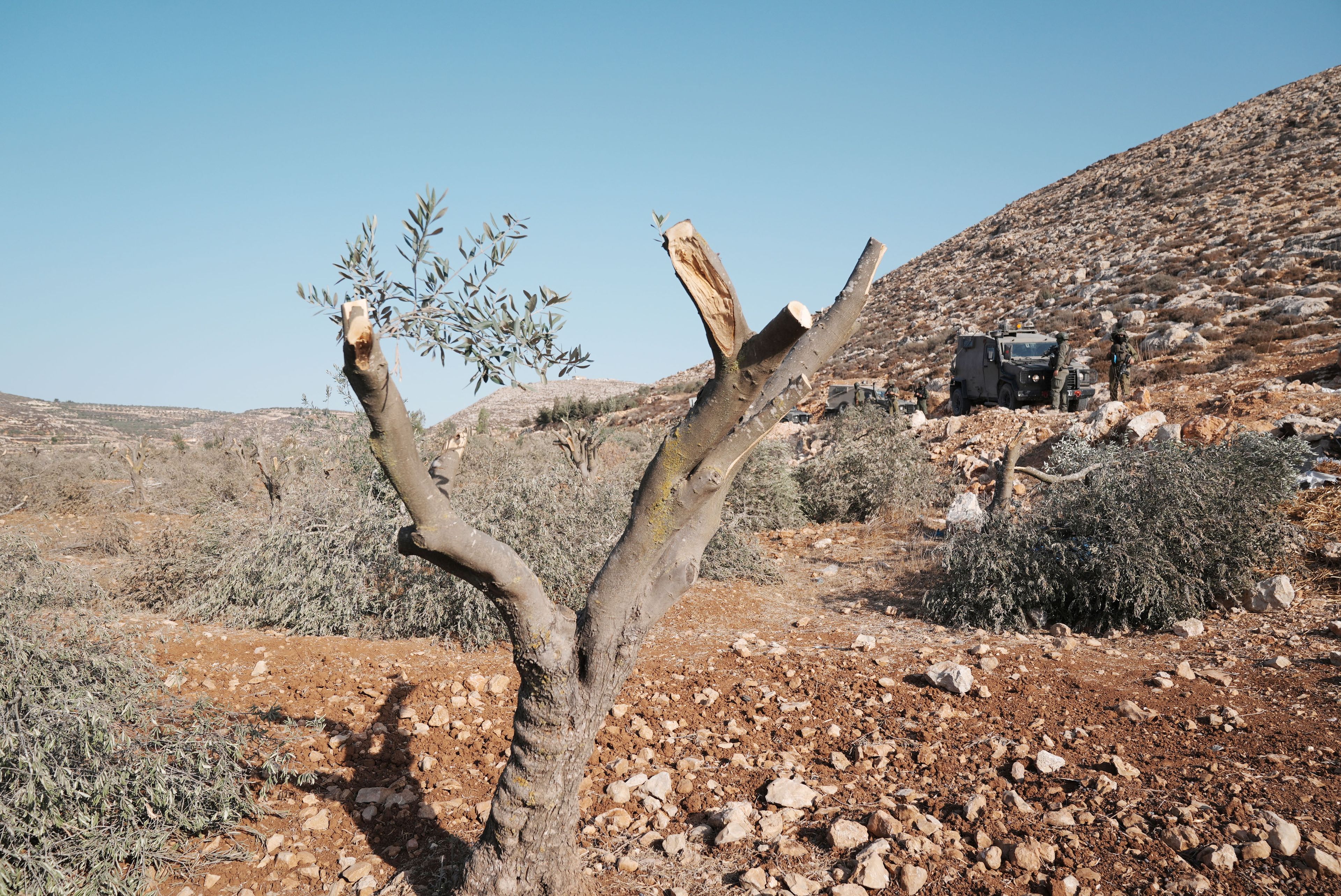 Galeri Fotoğrafı