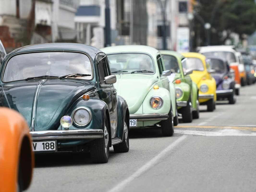 Ordu'da "17. Vosvos Şenliği"