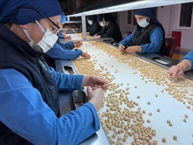 Türkiye, fındık ihracatından 8 ayda 1,9 milyar doları aşkın gelir sağladı