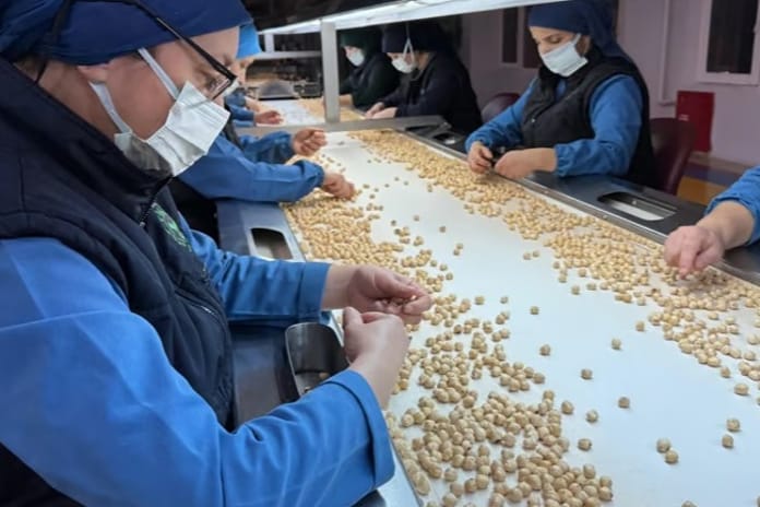 Türkiye, fındık ihracatından 8 ayda 1,9 milyar doları aşkın gelir sağladı