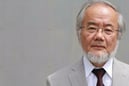 Japon biyolog Yoshinori Ohsumi, otofaji keşfiyle 2016 Nobel Tıp Ödülü'nü kazandı