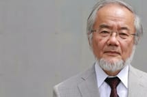 Japon biyolog Yoshinori Ohsumi, otofaji keşfiyle 2016 Nobel Tıp Ödülü'nü kazandı
