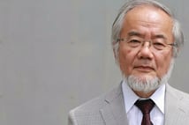 Japon biyolog Yoshinori Ohsumi, otofaji keşfiyle 2016 Nobel Tıp Ödülü'nü kazandı